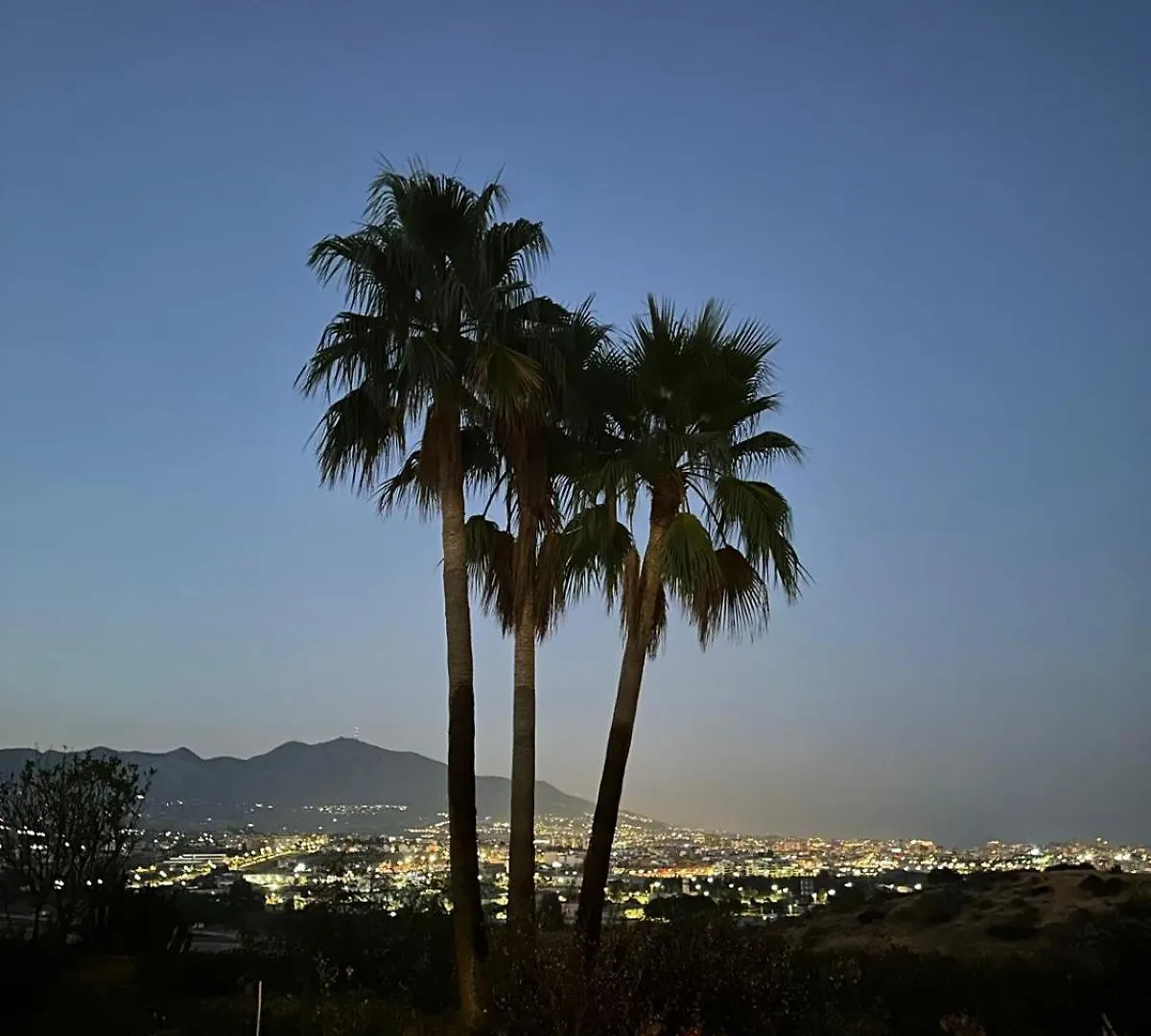 Los Iris Málaga Appartement